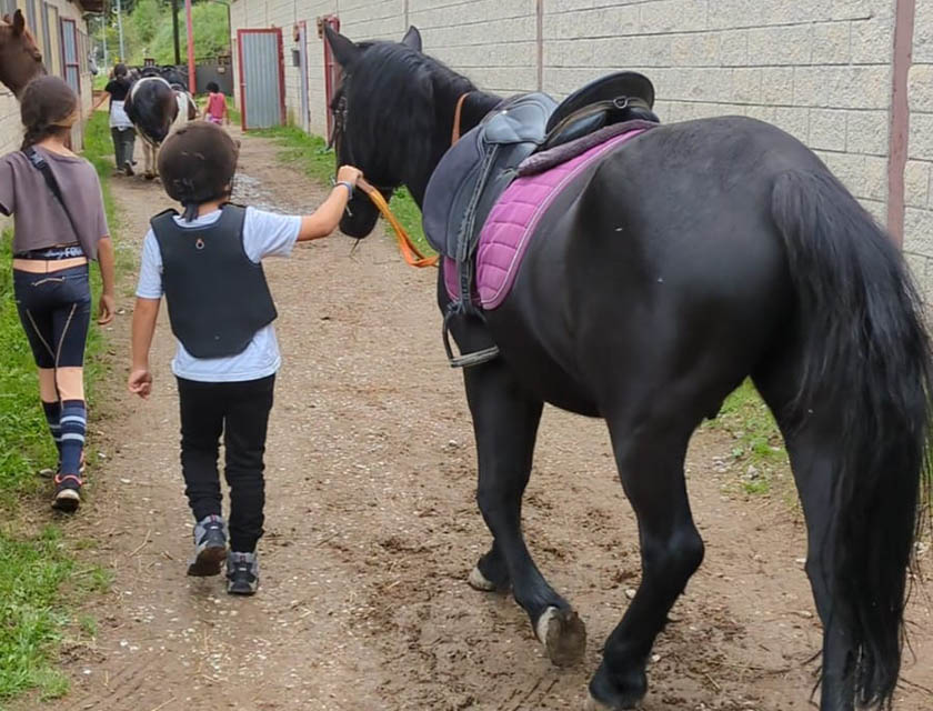 Deporte Escolar